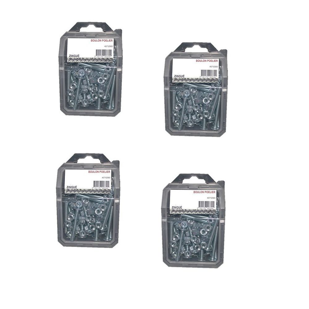 4 Coques de 50 Boulons Poêliers 6 × 50 mm – NFE 25129/4032, Zingué blanc, D-Work