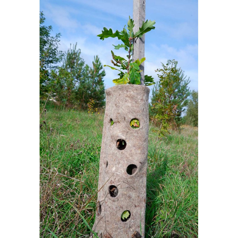 Manchon de protection pour plantation 100% biodégradable - Thorelaine