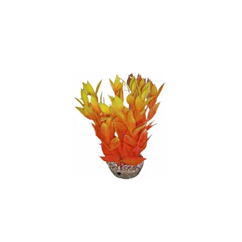 Dracaena orange en plastique 13 cm