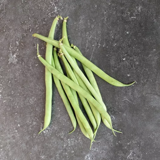 Haricot nain mangetout La Victoire | Semences bio et reproductibles
