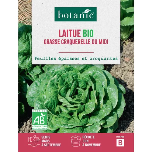 Graines de laitue grasse craquerelle du midi bio botanic® - graines à semer