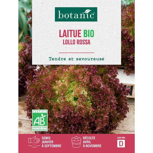 Graines de laitue lollo rossa bio botanic® - graines à semer