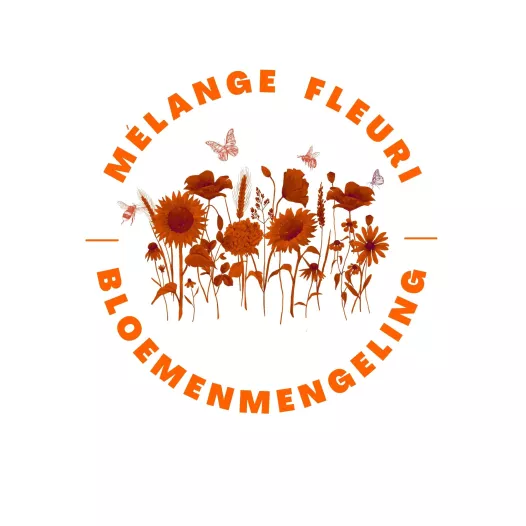 Mélange de fleurs bio - Mon carré de fleurs mellifères