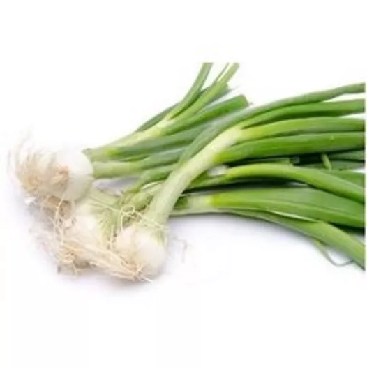 graines bio d'oignon blanc Premier