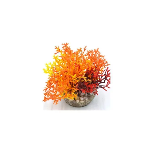 Corail coloré orange en plastique 12 x 10 cm