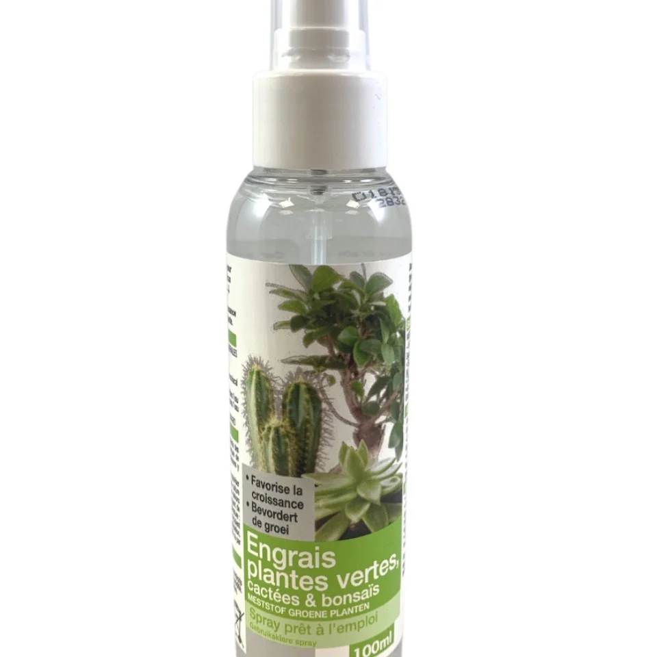 Engrais plantes vertes