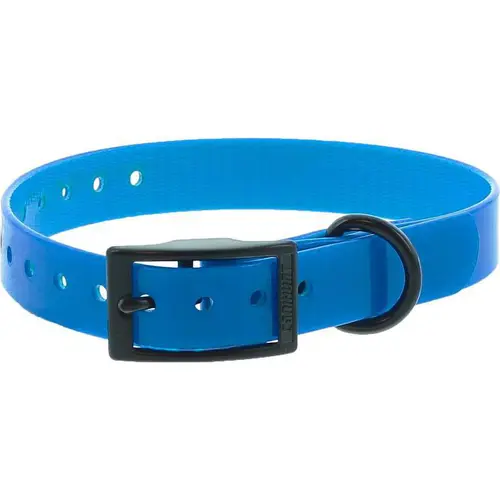 Collier pour chien en polyuréthane coloris bleu boucle double Canihunt Xtreme - 1,9 x 0,25 x 45 cm