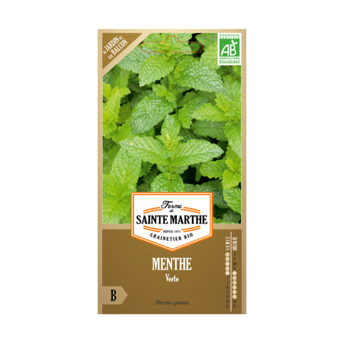 GRAINES MENTHE VERTE BIO