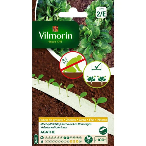 Ruban de graines de Mâche Agathe Vilmorin
