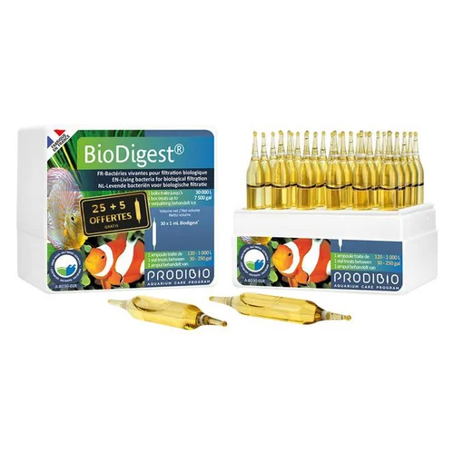 Ampoules biodigest rééquilibrant bio, PRODIBIO - 30 unités