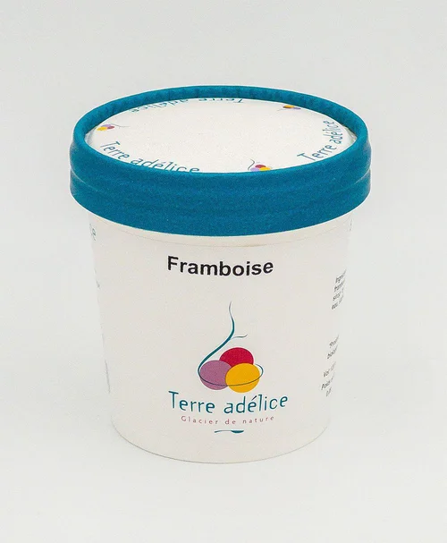Sorbet framboise Terre Adélice - Pot de 120 ml