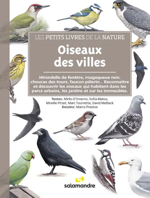 Livre "Oiseaux des villes" collection Les petits livres de la nature aux Éditions Salamandre