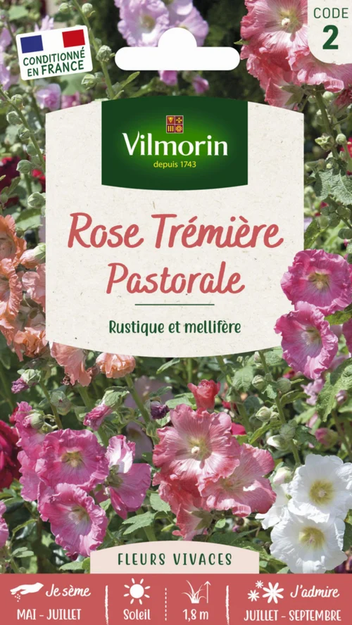 Rose Tremière Pastorale Vilmorin - graines à semer