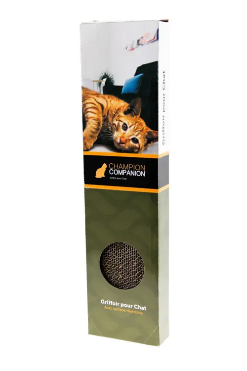 Scratcher Single - 50 x 12 x 5 cm