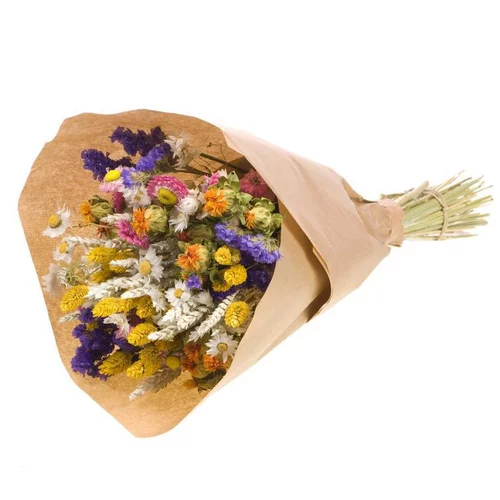 Bouquet de fleurs séchées Naturalys mix multicolore XL - Ø 25/30 x H 50 cm