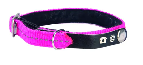Collier chat Lost rose taille XS