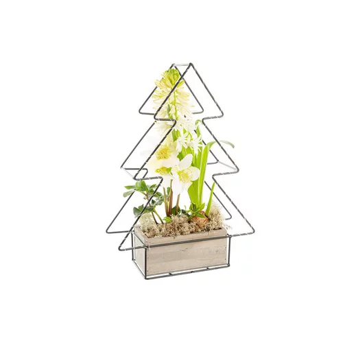 Hellebore Jacinthe Sapin Led