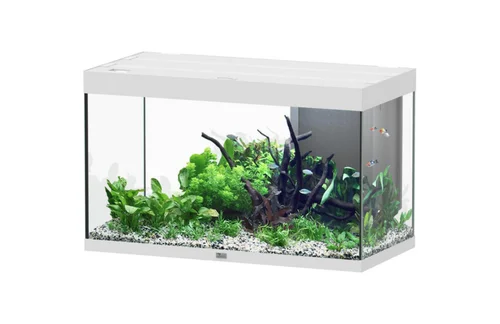Aquarium coloris blanc Aquatlantis Sublime Ultra LED 2.0 245 L - 100 x 50 x 60 cm
