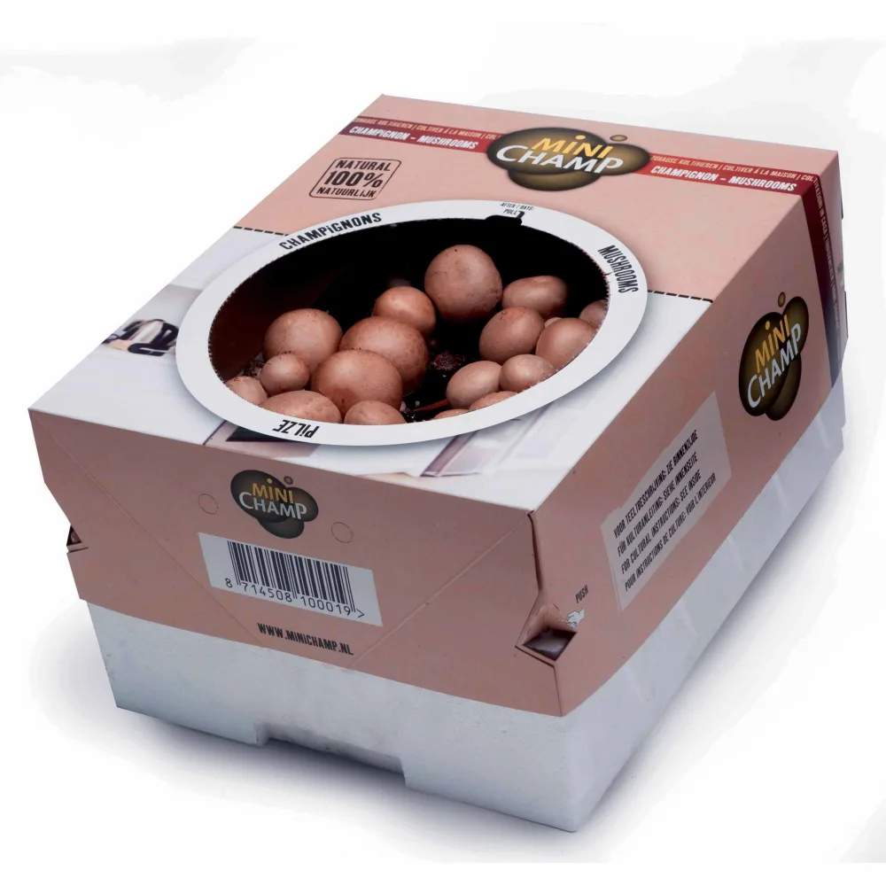 Kit champignon brun de Paris Agaricus bisporus avellaneus