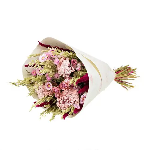Bouquet de fleurs séchées Naturalys Dandy rose - Ø 25/30 x H 50 cm