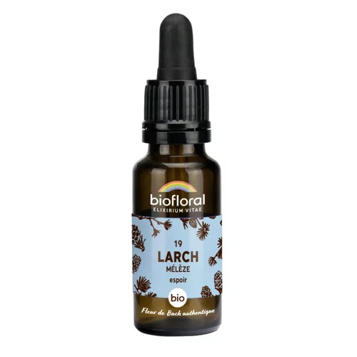 Élixir n°19 Biofloral de mélèze en flacon de 20 ml