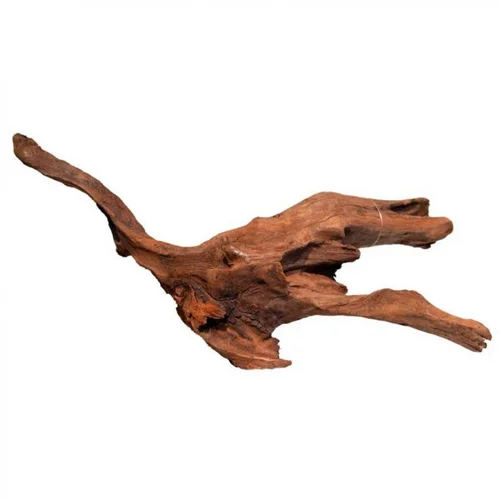 Racine de mangrove naturelle pour aquarium SUPERFISH - 30 cm