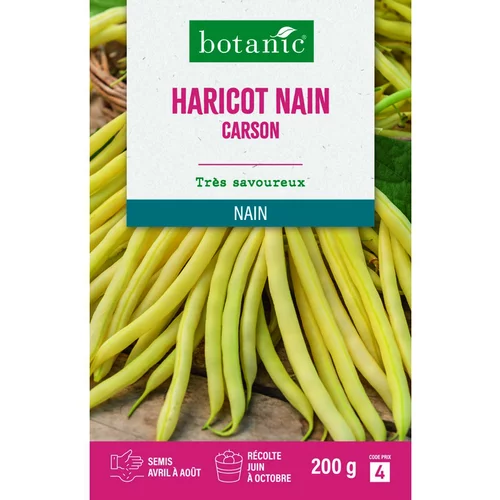 Graines d'haricot nain carson botanic® - graines à semer 200 g