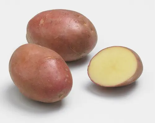 Sachet de pommes de terre desiré calibre 28/35 - 1,5 kg