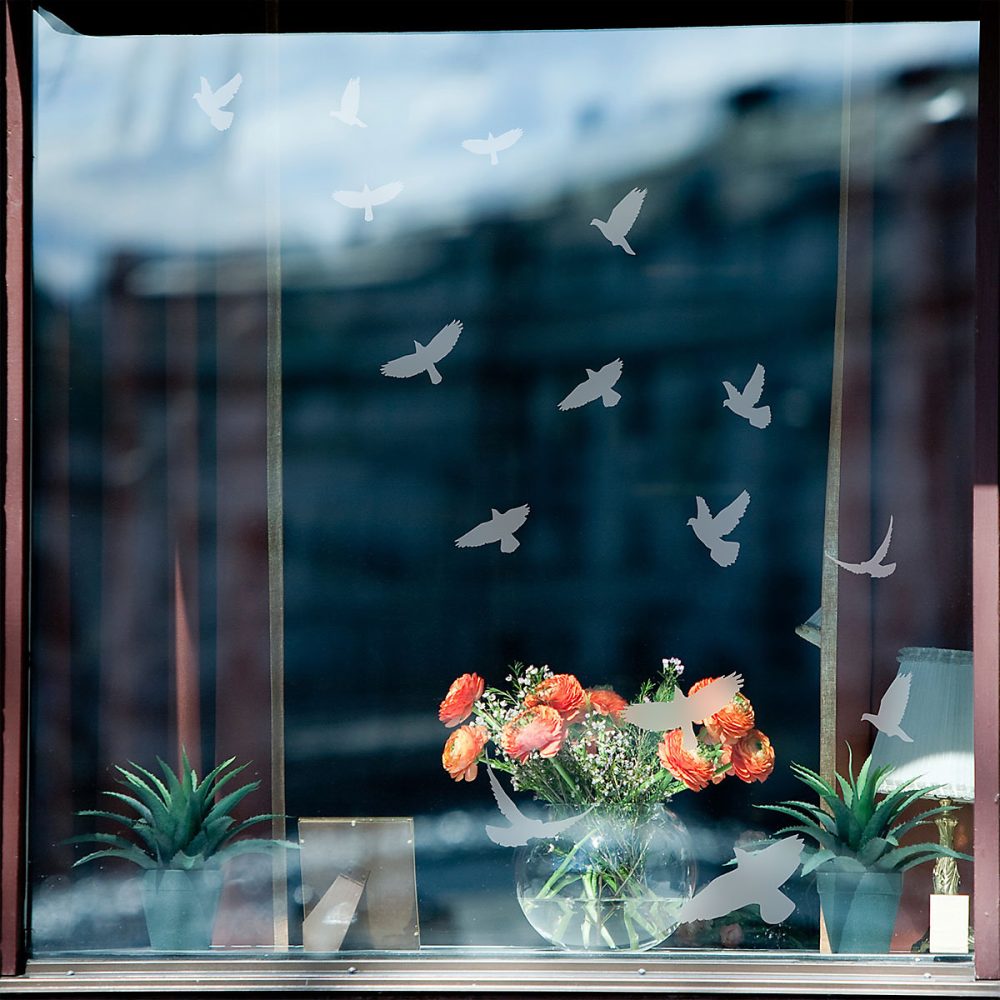 15 stickers oiseaux anti – collision translucide 95 × 95 cm