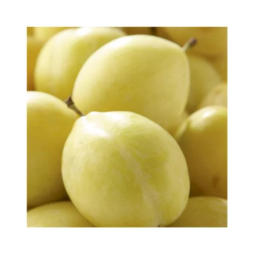 Prunier Miraclaude ® Delclomi. En racine nue, forme 1/2 tige