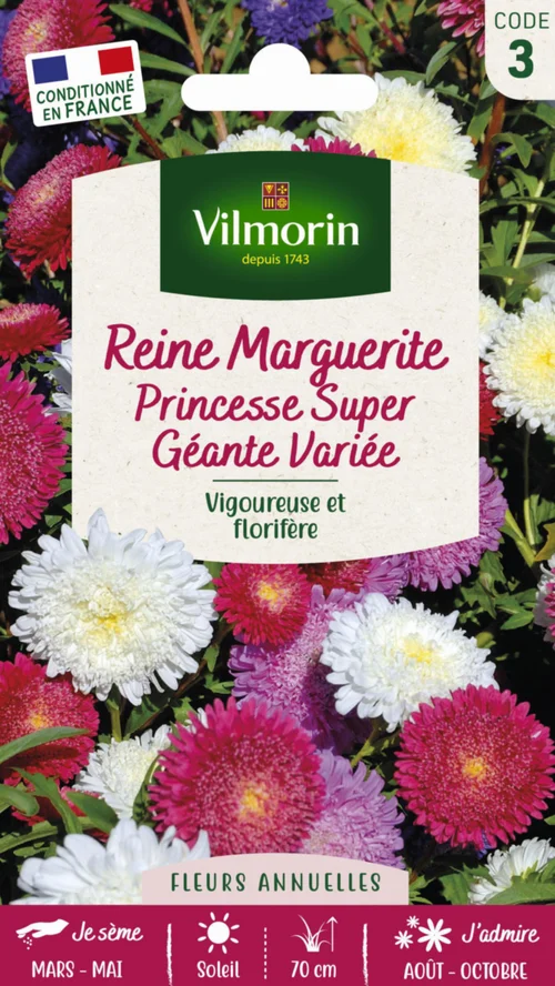 Reine Marguerite Princesse Super Géante Variée Vilmorin - graines à semer