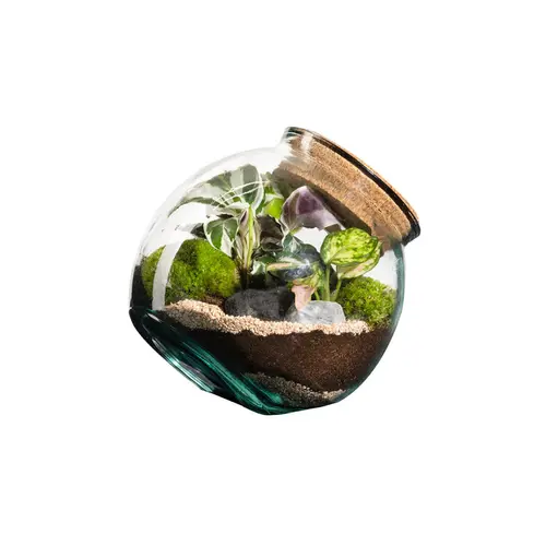 Terrarium autonome botanic® Kuego - Taille M Ø 19 cm H 19 cm