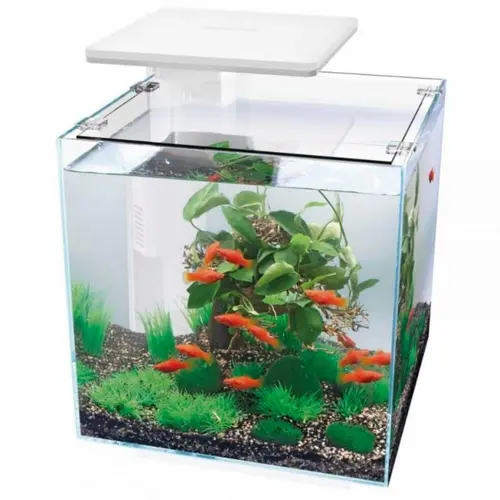 Aquarium équipé blanc, SUPERFISH Qubiq 30 PRO - 30L