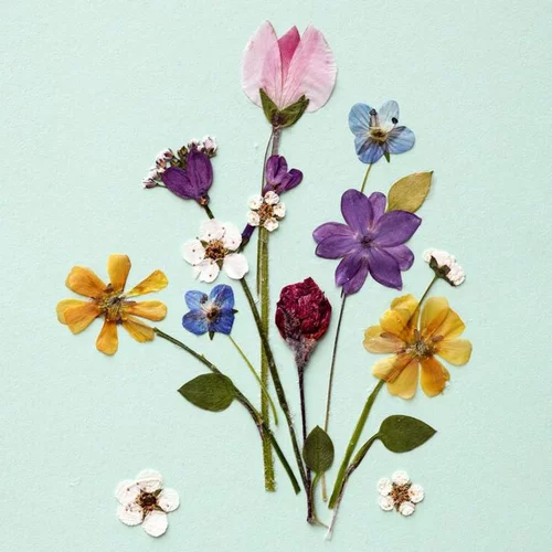 20 serviettes 3 plis Bunches 33x33 cm