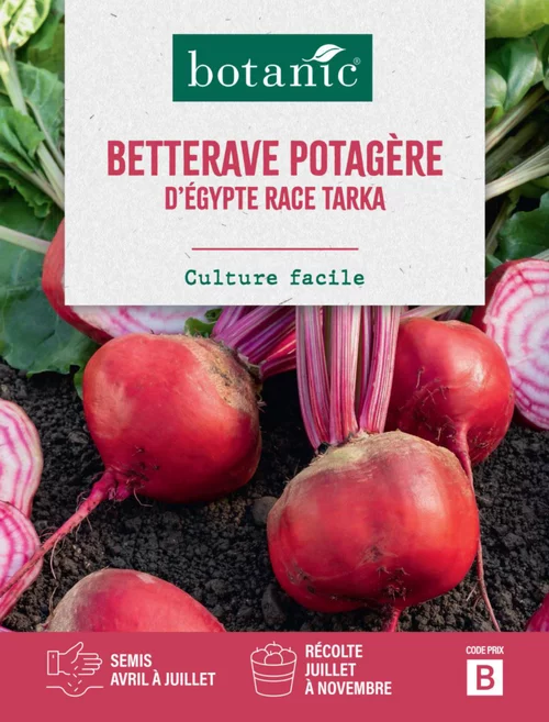 Graines de betterave d'Egypte race sultan botanic® - graines à semer