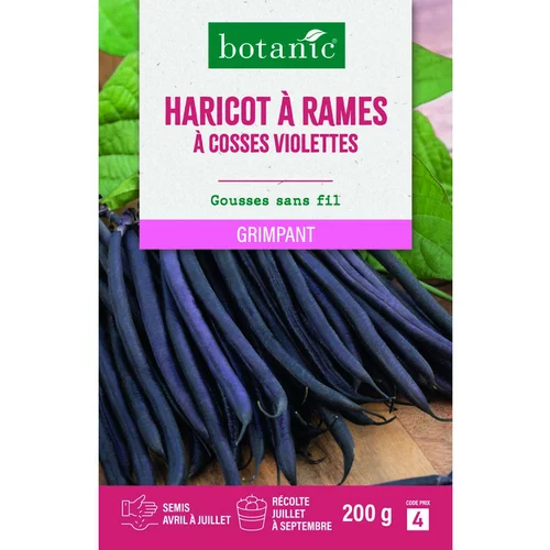 Graines d'haricot à rames à cosses violettes botanic® - graines à semer