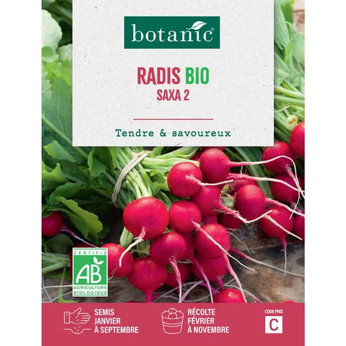 Graines de radis saxa 2 bio botanic® - graines saxa semer