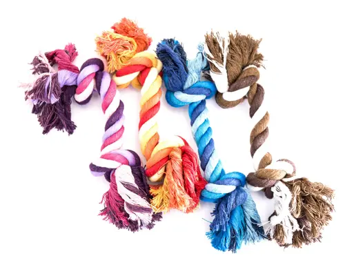 Corde à 2 nœuds pour chien - 30 cm de long