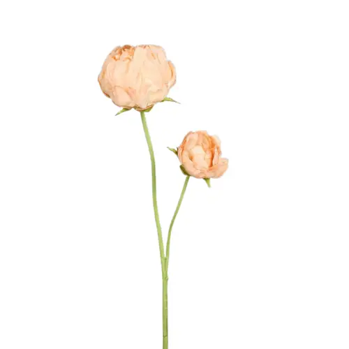 Pivoine artificielle pêche à 2 fleurs - 66 cm