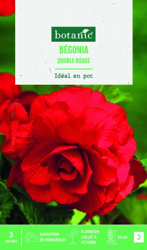 Bulbes de fleurs Bégonia double rouge botanic® - 3 bulbes