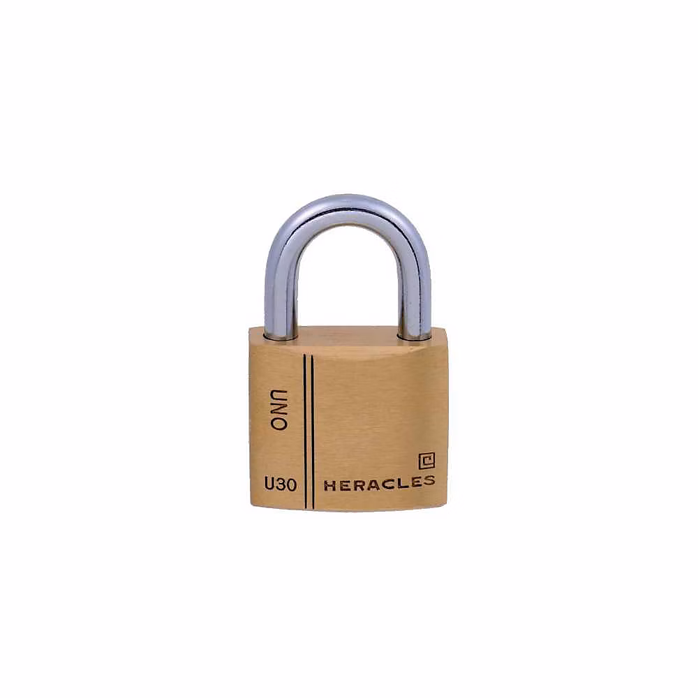 Cadenas laiton HERACLES I-CAD30MV 30 mm anse U acier nickelé – Réf. UPGWFKYFT1494758444