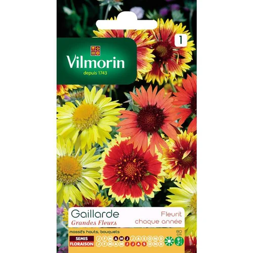 Gaillarde Grandes fleurs Vilmorin - graines à semer