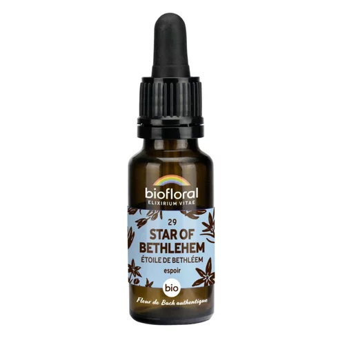 Élixir n°29 Biofloral d’étoile de Bethléem en flacon de 20 ml