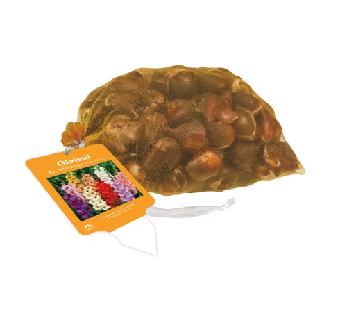 Filet de 75 bulbes de glaïeuls