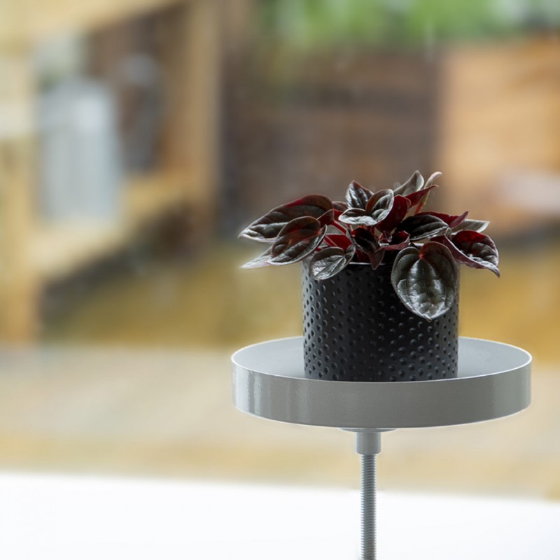Support de plantes pour rebord de fenêtre - 3 coloris