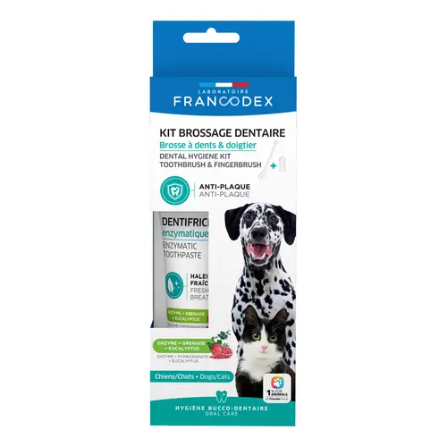 Kit de brossage des dents pour chiens