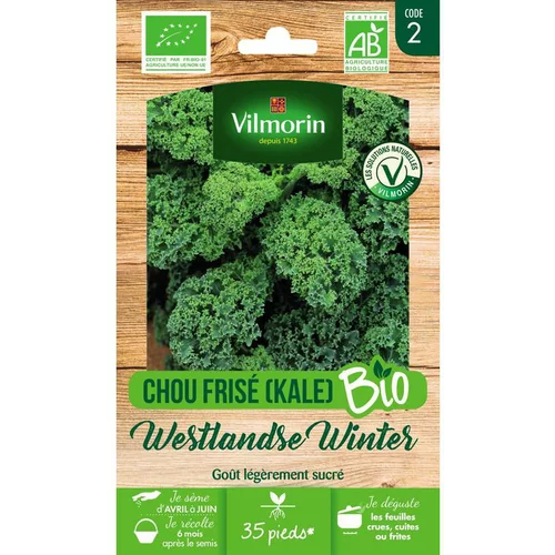 Graines de chou kale frisé westlandse winter bio Vilmorin - graines à semer
