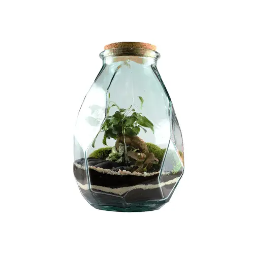 Terrarium autonome Origami L botanic® - Ø 22 x 37 cm