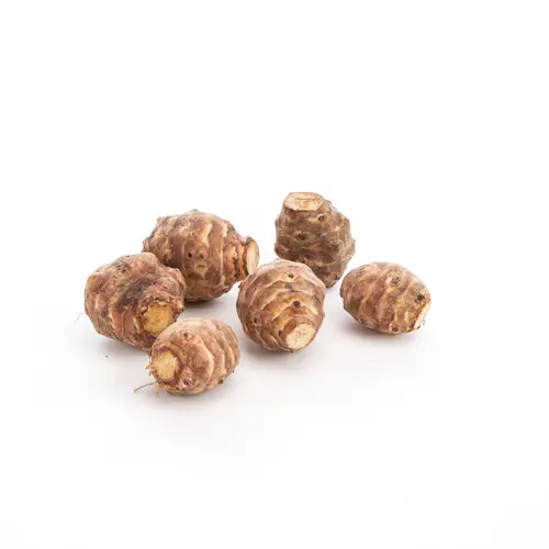 Topinambour bio - Prix au kg