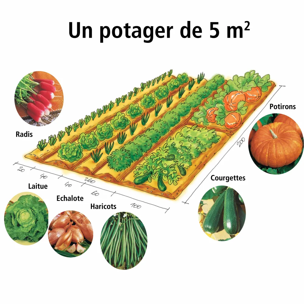 Collection Mon 1er potager de 5 m²
